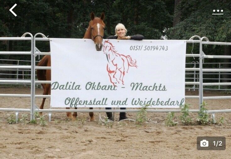 Offenstall Pferdestall Produkt der Pferdeprofis Heuraufe Roundpen in Elbingen Westerwald