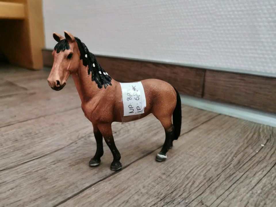 Schleich Pferde Pony Fohlen Border collie Welpe in Redwitz a d Rodach