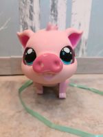 Singende Schwein Little Live Pets - My Pet Pig Nordrhein-Westfalen - Remscheid Vorschau