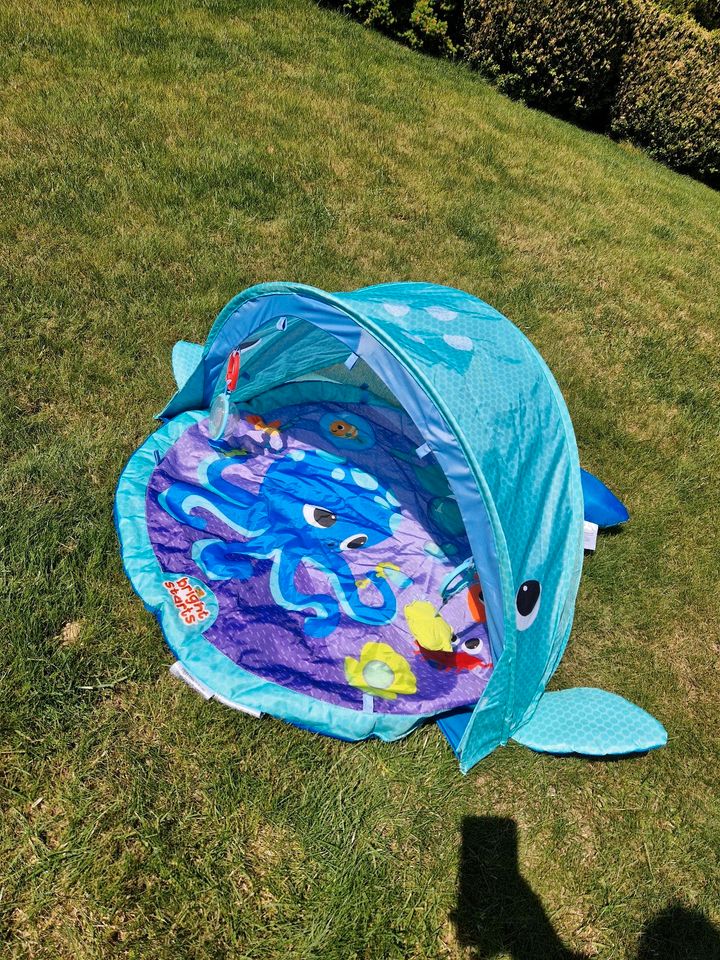 Bright Starts Spieldecke mit Sonnenschutz, Zelt, Wal, ca. 80 cm in Bannewitz