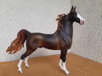 MODELLPFERD BREYER AMERICAN SADDLEBRED FUCHS CM BROWN UK TOP LSQ Hessen - Oberursel (Taunus) Vorschau