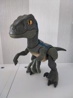 Jurassic World GFD40 , Blue Velociraptor macht Geräusche Sachsen-Anhalt - Petersberg (Saalekreis) Vorschau