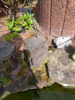 DreiLava Steine für Zimmerbrunnen oder Gartenteich Hessen - Dornburg Vorschau
