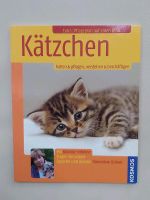 Buch Kosmos Tierratgeber "Kätzchen" Katze Katzenbuch Sachsen-Anhalt - Magdeburg Vorschau
