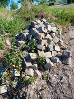 Granit Steine. Niedersachsen - Dissen am Teutoburger Wald Vorschau