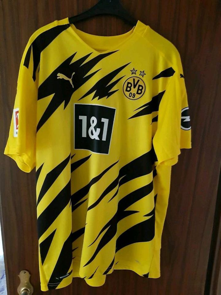 Trikot BVB Borussia Dortmund Erling Haaland XXL SAISON 2020/2021 in Lingen (Ems)