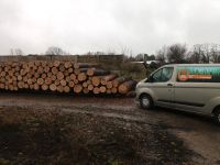 Lohnschnitt, Lohnsägen, Lohnsägerei, Sägewerk, mobil Brandenburg - Seelow Vorschau