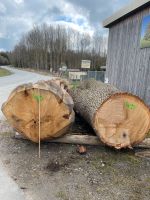 Suche Stammholz Eiche Esche Platane Ulme Baumstamm Stamm Thüringen - Weißenborn Vorschau