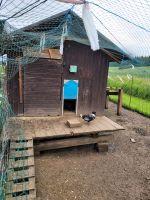 Hühnerstall, Stall, Hütte Bayern - Wolnzach Vorschau