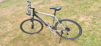 Fahrrad Staiger Crosstrail Alu Rad 28 Zoll Hessen - Bad Soden-Salmünster Vorschau