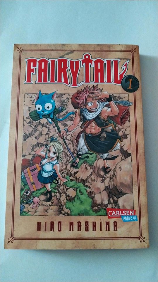 Fairy Tail Manga Band 1 in Schwerin