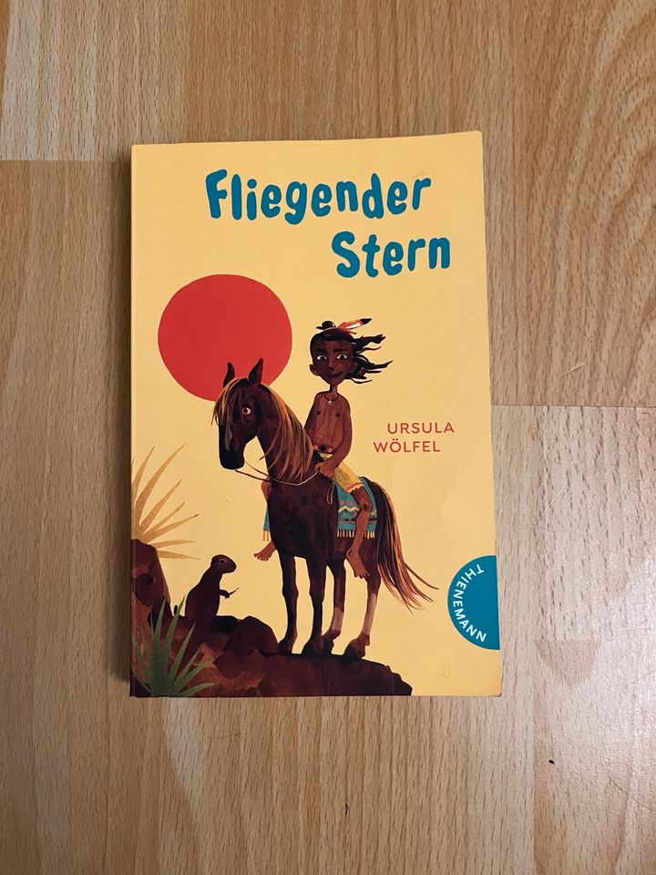 Fliegender Stern (Kinderbuch) in Bonn