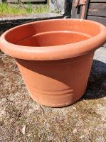 Blumenkübel Pflanzkübel Pflanztrog Terracotta Sachsen - Freital Vorschau