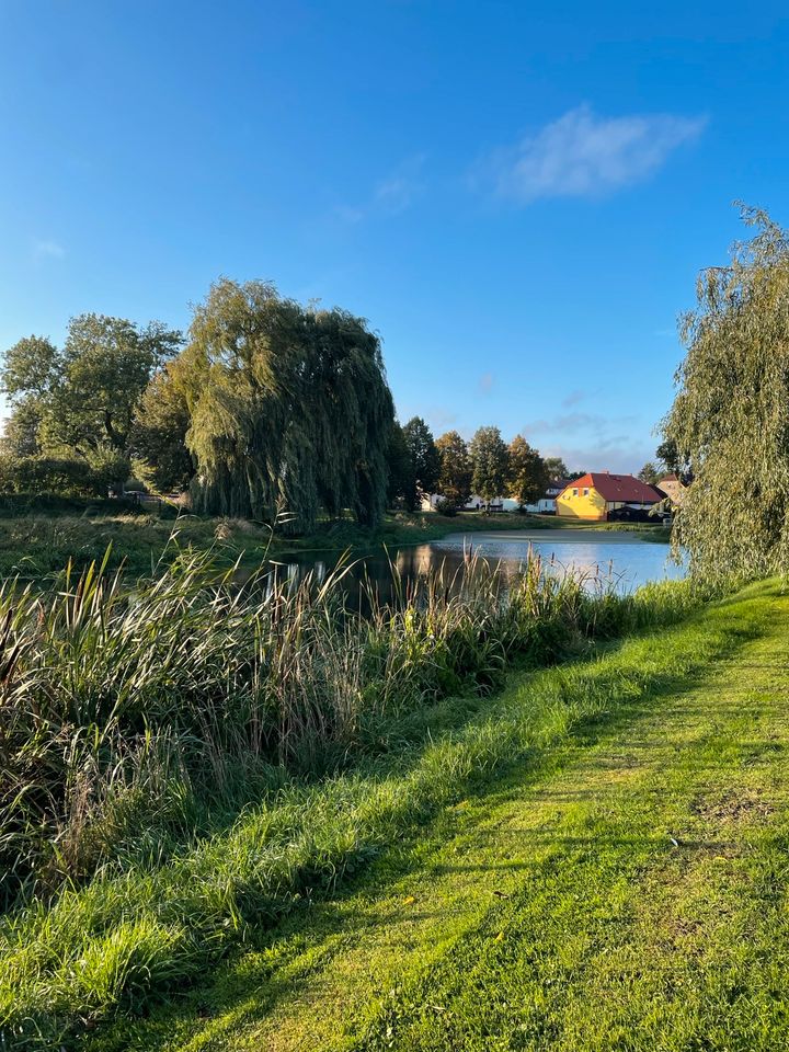 1.560 qm Baugrundstück am Wasser zu verkaufen in Schönbeck