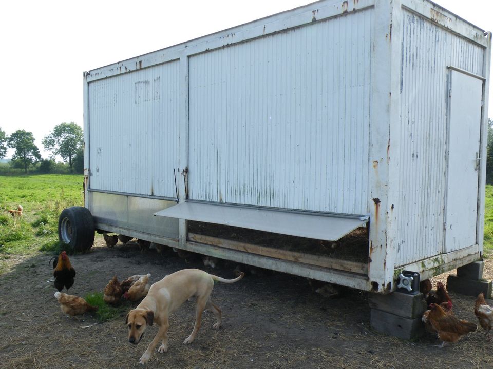 Mobilstall, Hühnermobil, mobiler Hühnerstall, Containerstall in Engelschoff