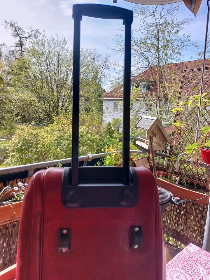 Leder Reisetasche neu in München