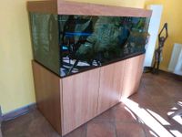 Aquarium 150x60x60, neuwertig in Kirsch Brandenburg - Brieselang Vorschau