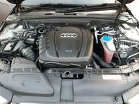 Motor Audi A4 B8 2.0 TDI CJCD 51 TKM 110 KW 150 PS komplett inkl. Leipzig - Leipzig, Zentrum-Nord Vorschau