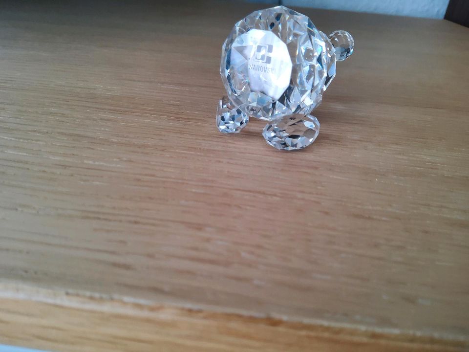 Original Swarovski Kristallfigur Teddybär in Schwentinental