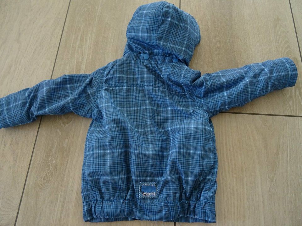 Babyjacke (mit Kapuze zum Abnehmen) Esprit Größe 68 blau-kariert in Lüchow