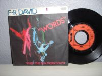 Rock Schallplatte Single 7"/ F.R. DAVID >WORDS< Vinyl 1982 Niedersachsen - Ilsede Vorschau