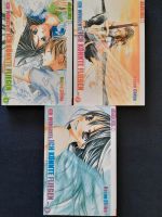 Ich wünschte ich könnte Fliegen Manga Set 1-3 Hessen - Reichelsheim (Odenwald) Vorschau