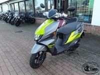 Vorführfahrzeug Suzuki AVENIS UN125 Roller Garantie bis03-2025 Bad Doberan - Landkreis - Bad Doberan Vorschau