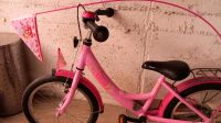 18 zoll pucky Fahrrad prinzessin lillifee Hessen - Niedernhausen Vorschau