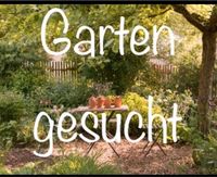 Schrebergarten in Volkach gesucht! Bayern - Volkach Vorschau