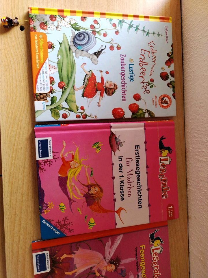 Konvolut Erstlese Bücher für Mädchen in der 1.Klasse in Morbach
