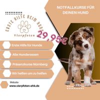 Notfall-Erste Hilfe Kurs für deinen Hund Nürnberg (Mittelfr) - Mitte Vorschau