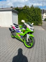 Kawasaki ZXR 400 Cup Edition A2 gedrosselt Niedersachsen - Nordstemmen Vorschau