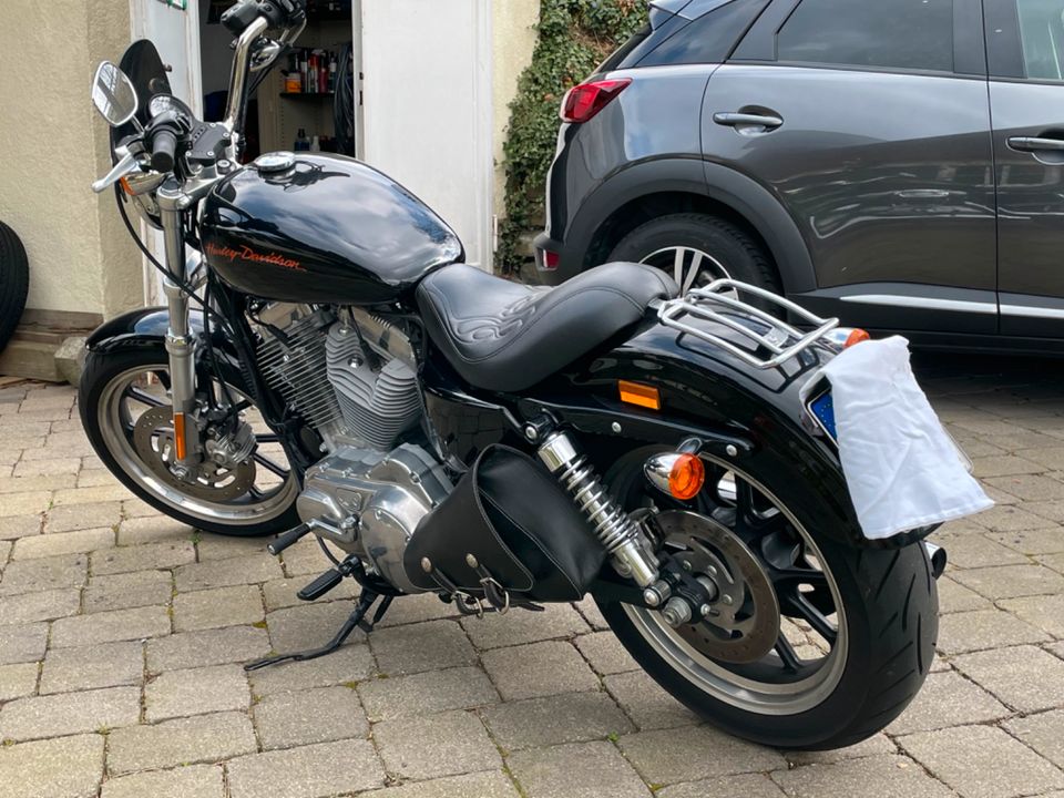 Harley Davidson Sportster 883 XL SuperLow in Arnsberg