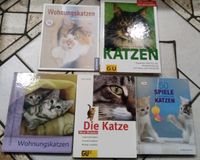 Katze,Katzen Buch,Ratgeber,50 Spiele für Katzen,Wohnungskatzen, Bayern - Böbrach Vorschau