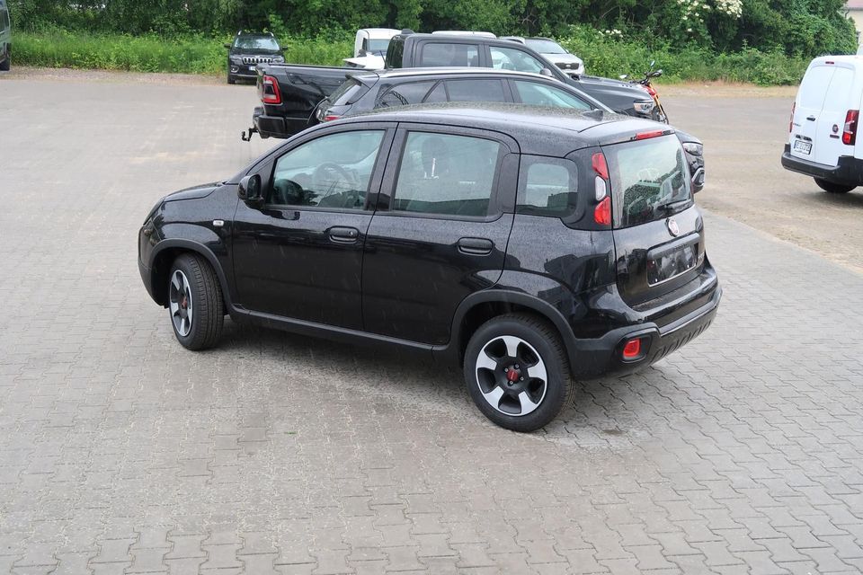 Fiat Panda Hybrid City Plus 1.0 GSE Tech Plus Paket in Herten