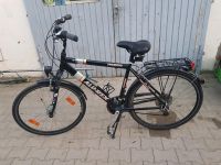 Fahrrad Alu Rex Baden-Württemberg - Pforzheim Vorschau