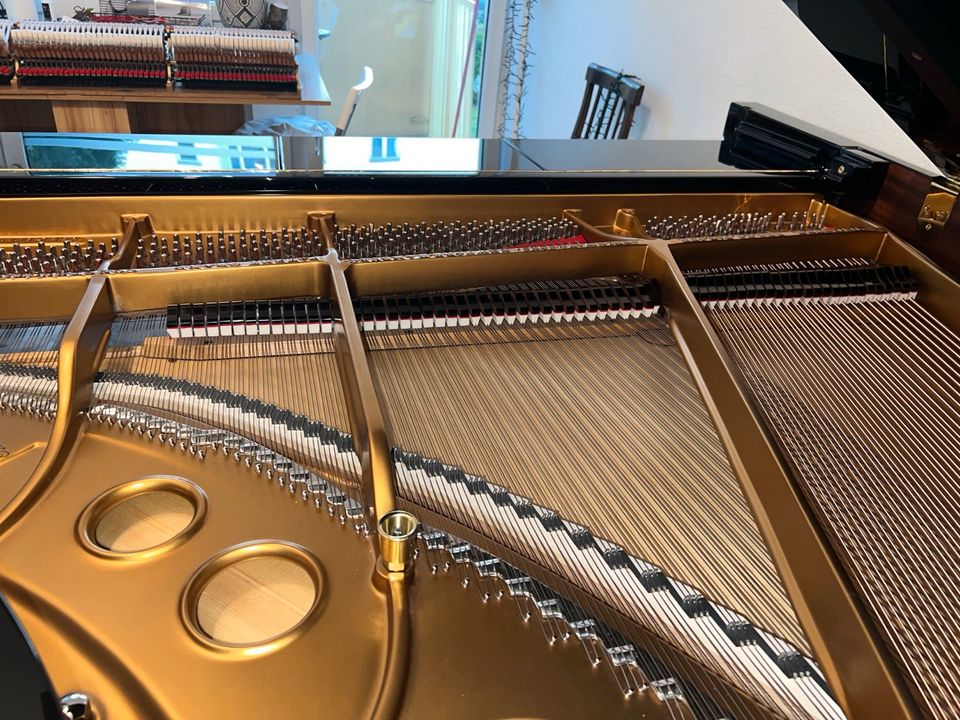 Flügel Steinway & Sons O Welte in München