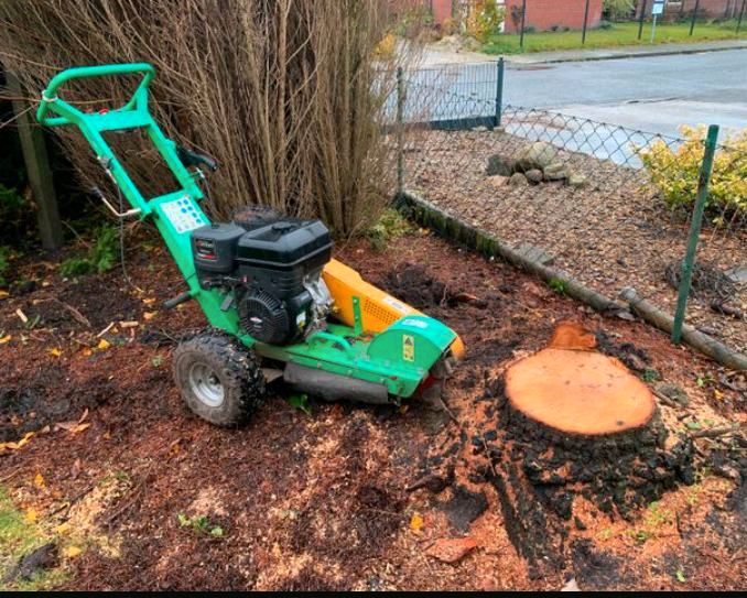 Gärtner Hausmeister Gartenpflege Vertikutieren Strauch- und Hecke in Brandenburg an der Havel