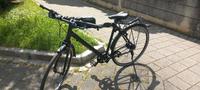Staiger Fahrrad 8 Gang Nabenschaltung Baden-Württemberg - Plochingen Vorschau