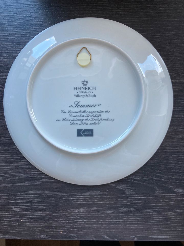 Villeroy &Boch Porzellanteller Wandteller Motiv 79 Sommer sammeln in Marktbergel