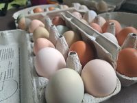 Frische Eier vom Lande Mecklenburg-Vorpommern - Wittenhagen Vorschau