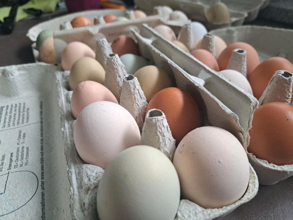 Frische Eier vom Lande in Wittenhagen