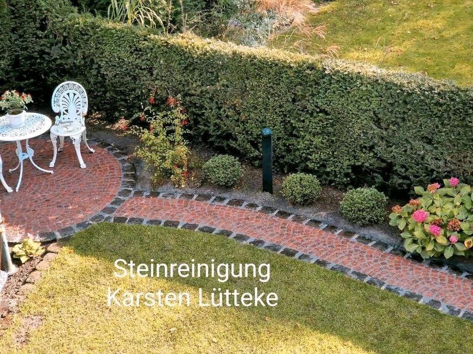 Terrassenreinigung, Steinreinigung, Pflasterreinigung in Centrum