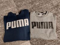 PUMA Sweatshirts, 2 Stück, grau + blau, Gr. M Bayern - Pfakofen Vorschau