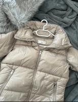 Steppjacke Brandenburg - Prenzlau Vorschau