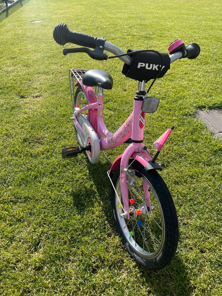 Puky Fahrrad Lillifee in Dallgow