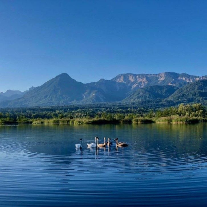 Urlaub im Ferienhaus Annemarie in Österreich/Kärnten in München