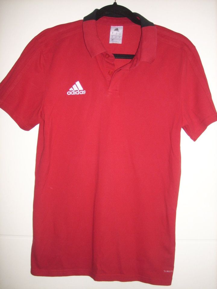 Poloshirt Adidas Gr. M in Velten