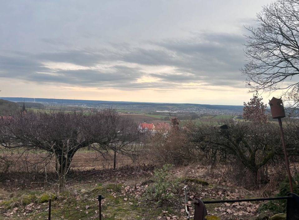 Gartengrundstück 1061 qm mit Holzhütte in Bamberg