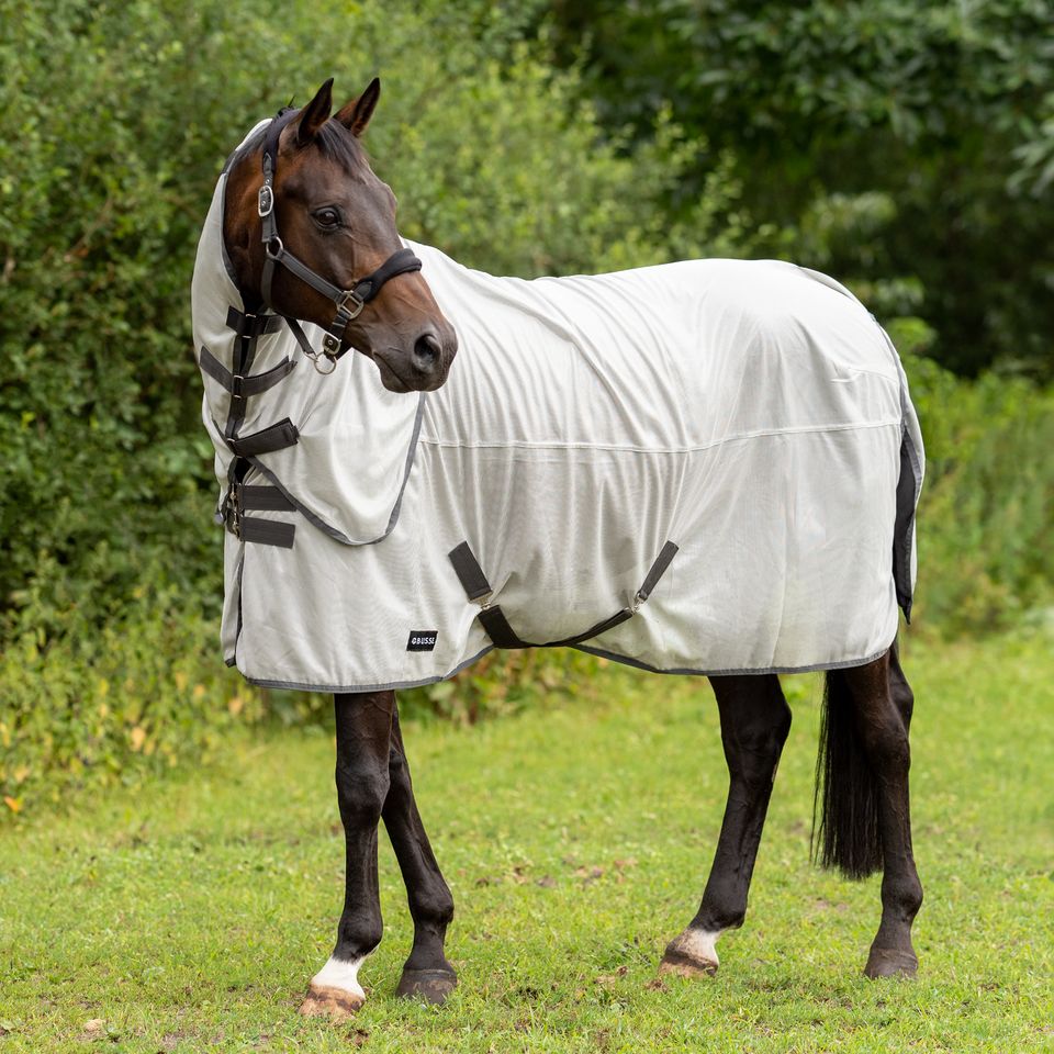 Sale 3 Modelle Fliegendecke Horseware Rambo Protector UVP 194,95 -jetzt 165.- extrem robust,UV Schutz,Amigo Mio Fly ab 49,-€ Busse Sunshine  ab 45.-€  95,105,115,125,130,140,145,155,160 + Big size NEU in Kempen